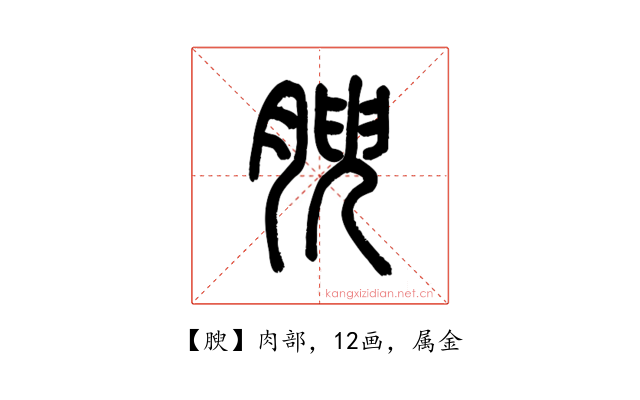 腴