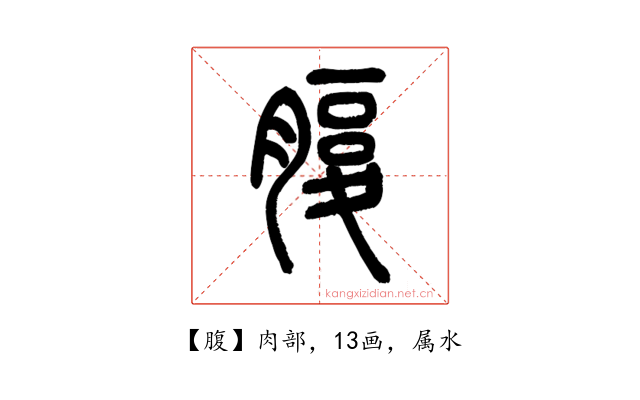 腹