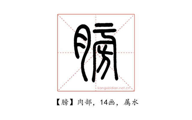 膀