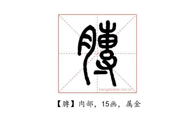 膞