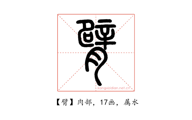 臂