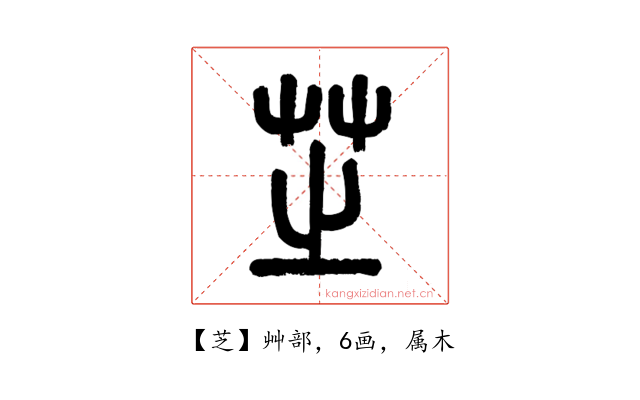 芝