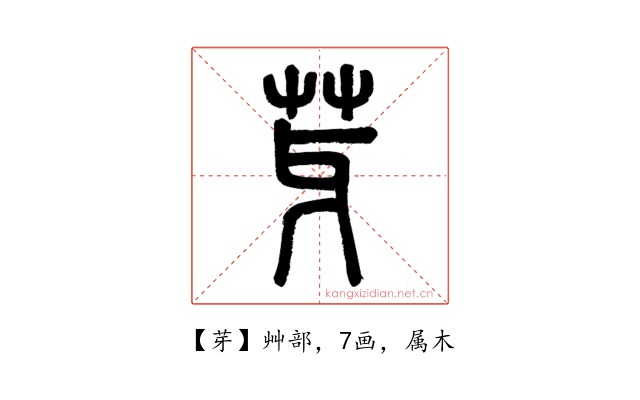 芽