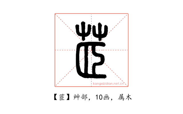 茝