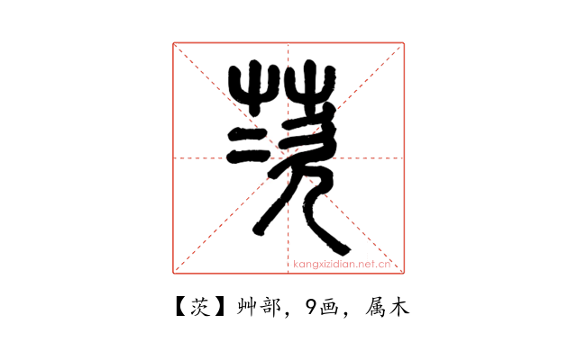茨