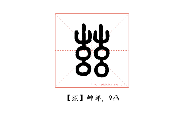 茲