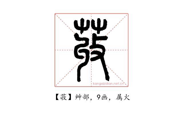 荍