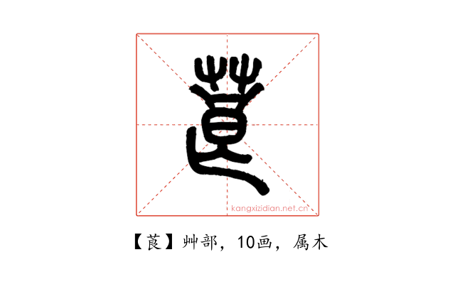 莨