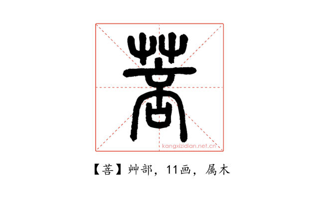 菩