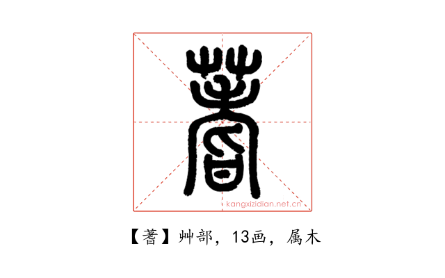 蓍