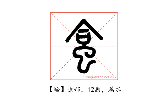蛤