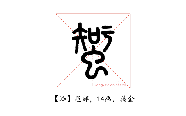 蜘