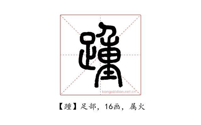 踵