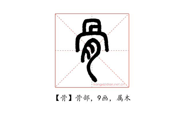 骨