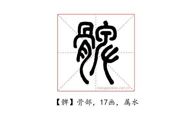 髀