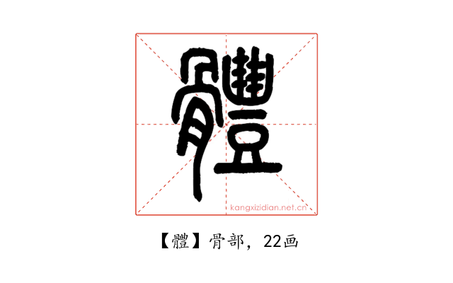 體