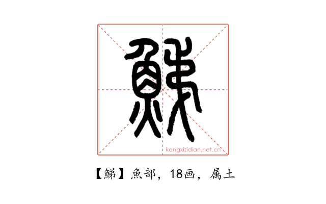 鮷