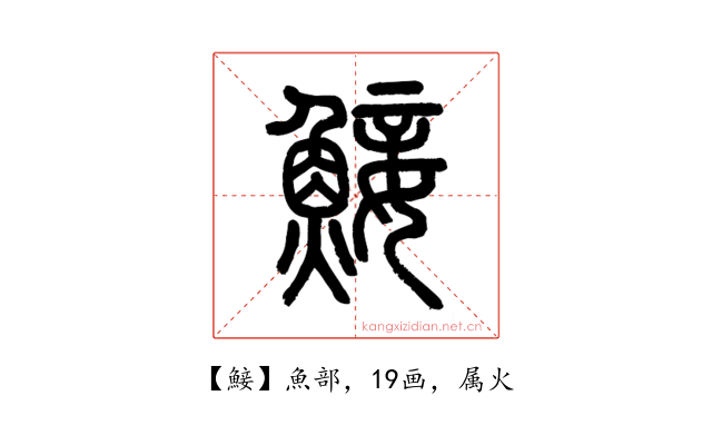 鯜