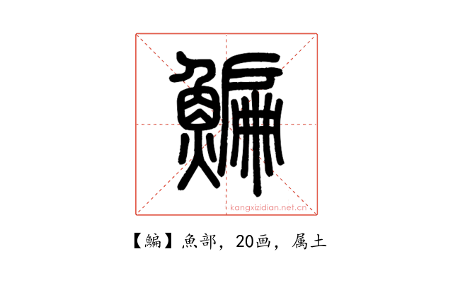 鯿