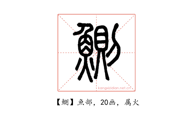 鰂