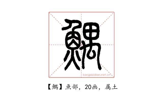 鰅