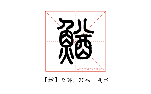 鰌