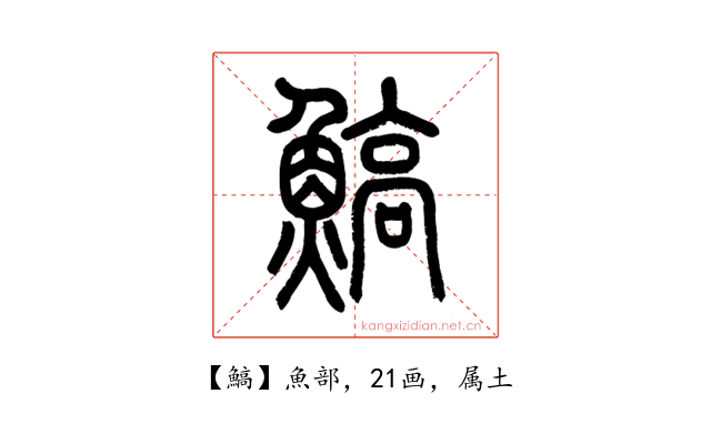 鰝