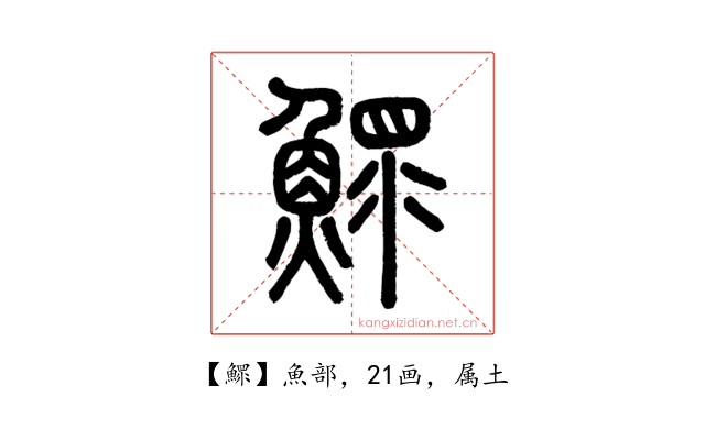 鰥