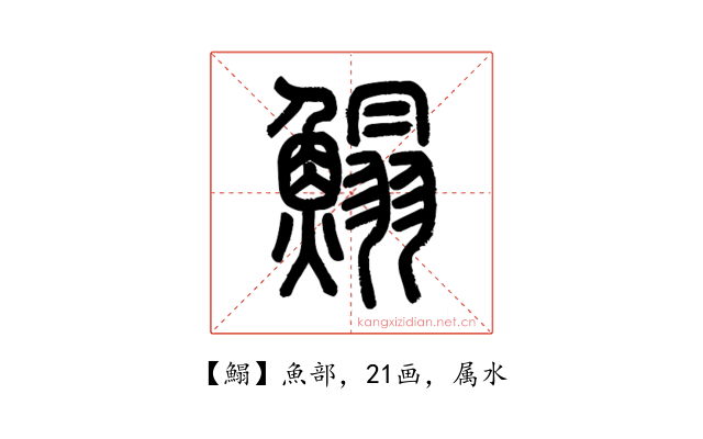 鰨