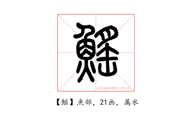 鰩