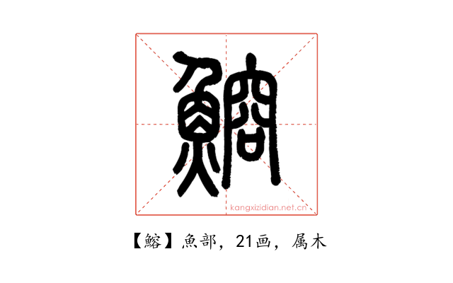 鰫