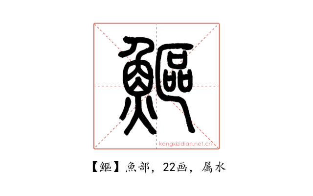 鰸