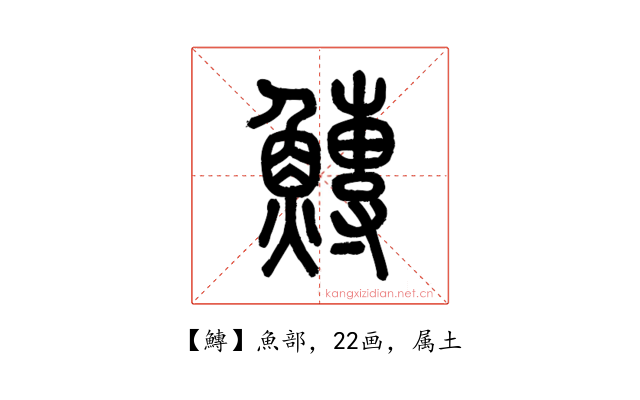 鱄