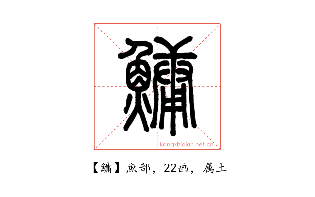 鱅