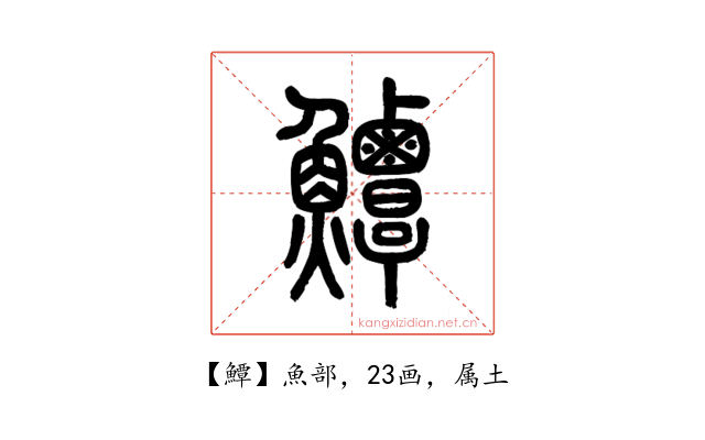 鱏