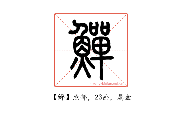 鱓