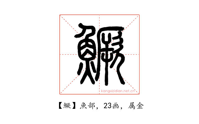 鱖