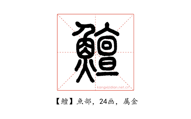 鱣