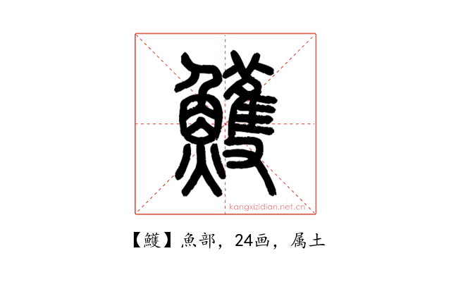 鱯