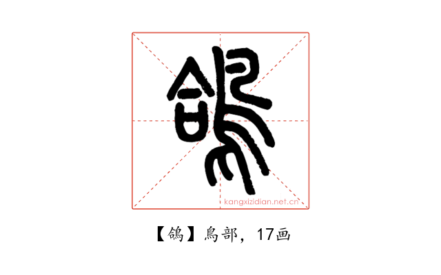 鴿