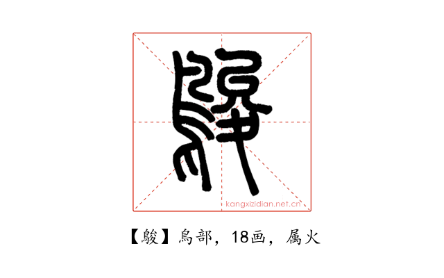 鵔