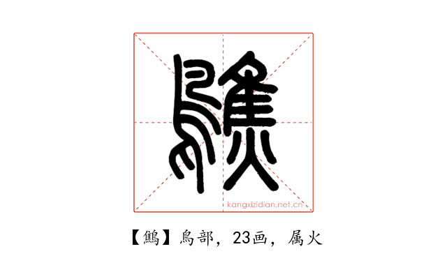 鷦