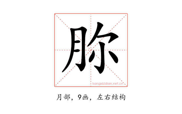 𣍨