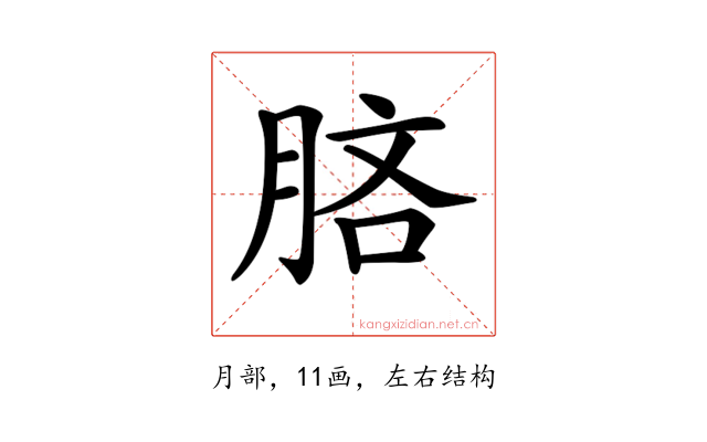 𣍵