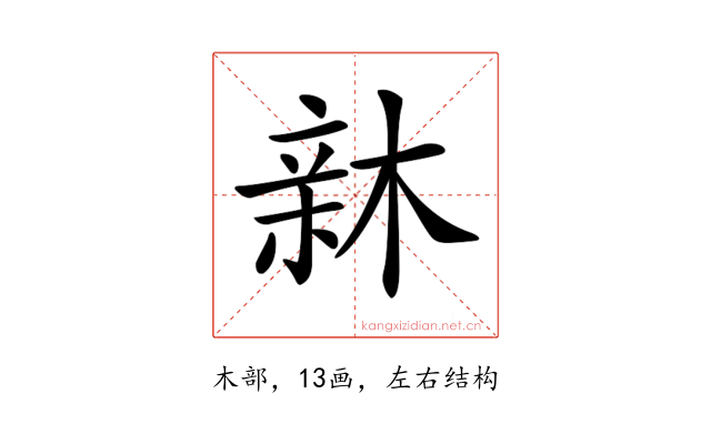 𣕟
