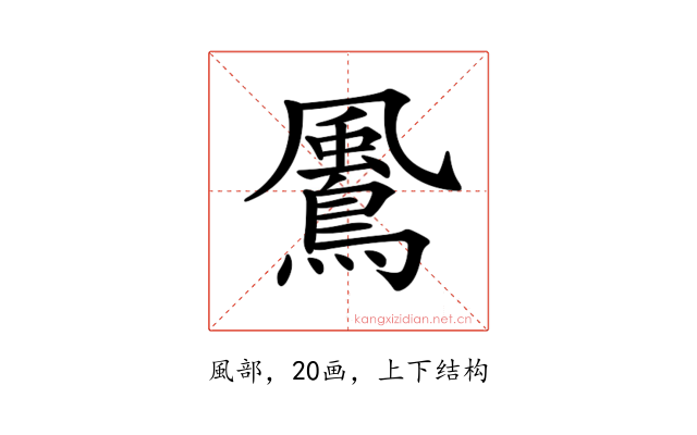 𩘵