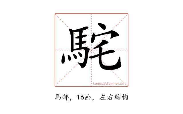𩢵