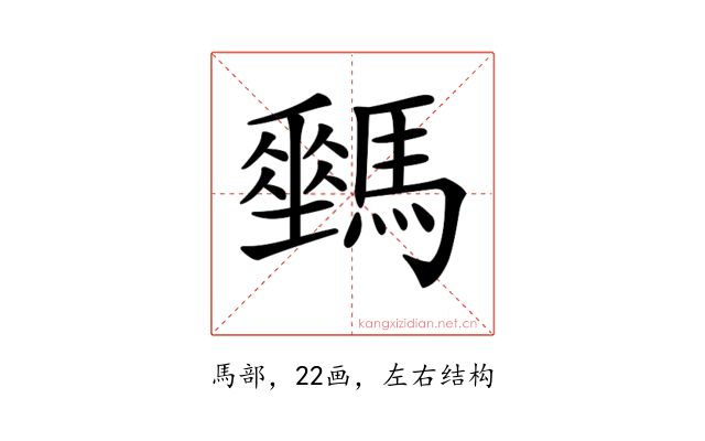 𩦛