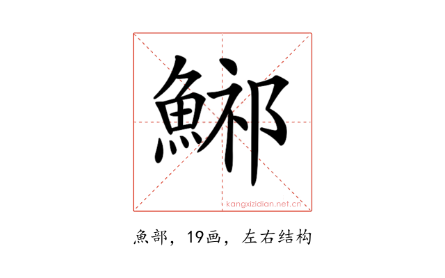 𩷾