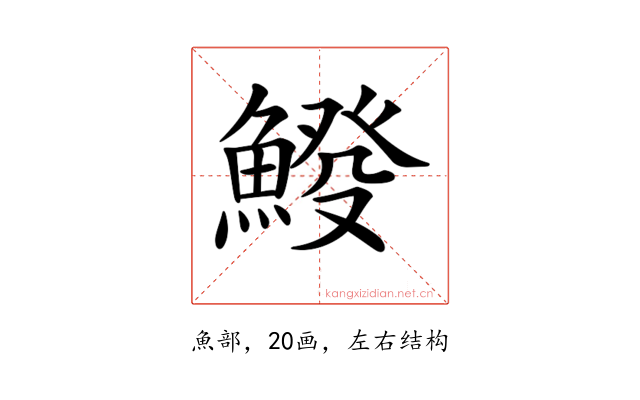 𩸿